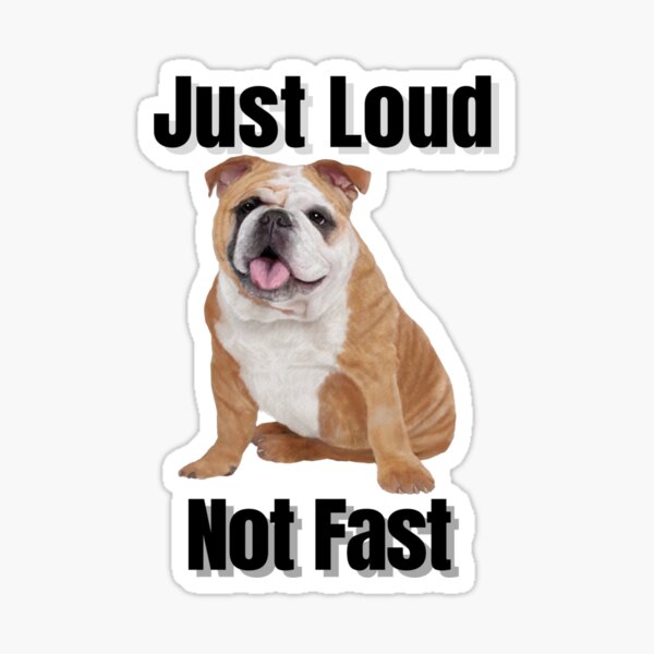 Just Loud Not Fast Sticker