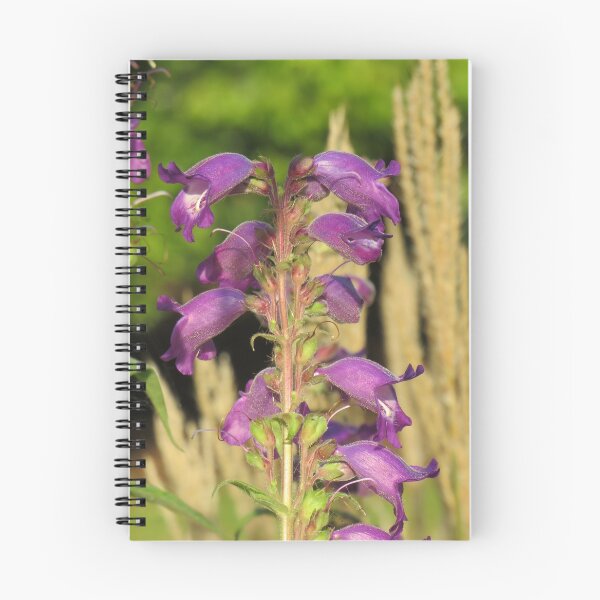 Item preview, Purple penstemon flowers designed and sold by greentiger1.
