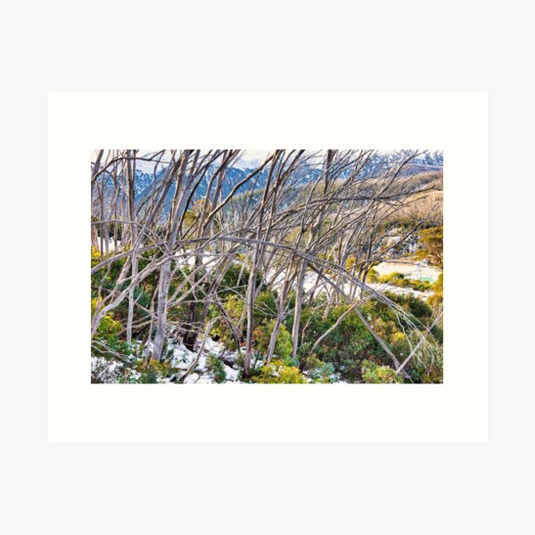 Item preview, Falls Creek designed and sold by Carolyn's Captures - Original Photohgraphy.