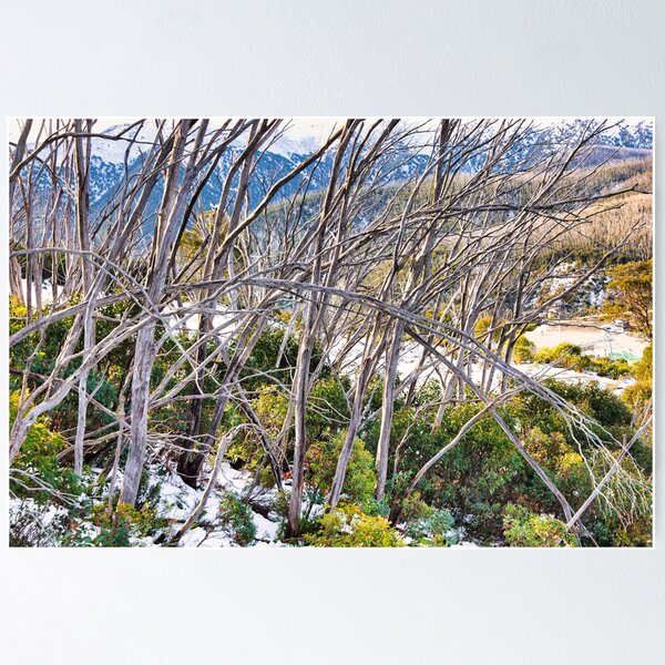 Item preview, Falls Creek designed and sold by Carolyn's Captures - Original Photohgraphy.