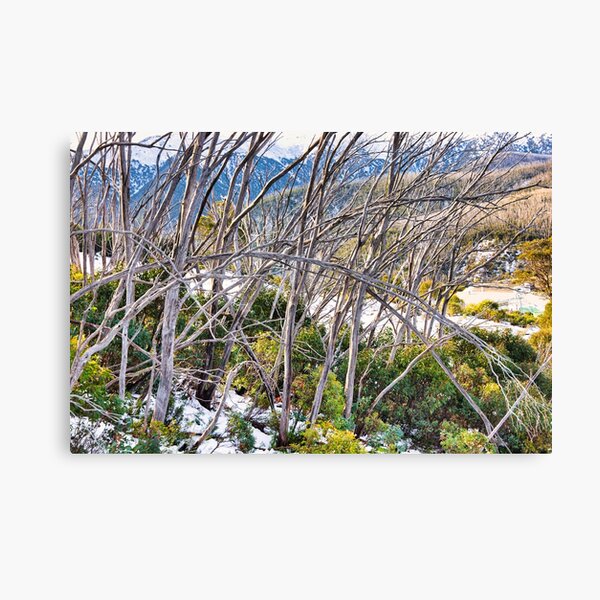 Item preview, Falls Creek designed and sold by Carolyn's Captures - Original Photohgraphy.