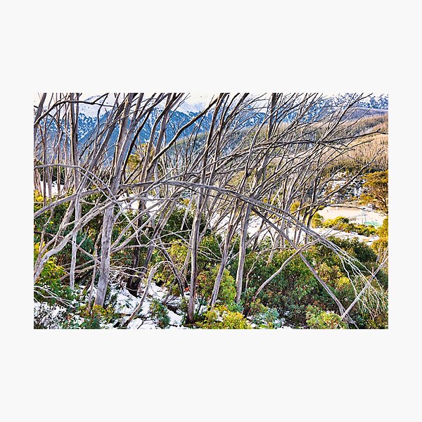 Item preview, Falls Creek designed and sold by Carolyn's Captures - Original Photohgraphy.