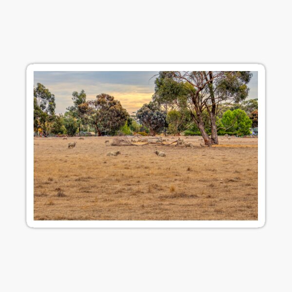 Item preview, Horsham, Victoria designed and sold by Carolyn's Captures - Original Photohgraphy.
