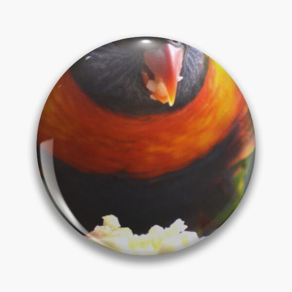 Artikelvorschau, Ein Regenbogen-Lorikeet, der eine Apfelscheibe isst. entworfen und verkauft von EAnneH.