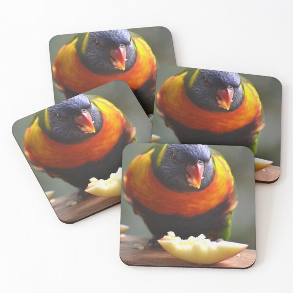 Artikelvorschau, Ein Regenbogen-Lorikeet, der eine Apfelscheibe isst. entworfen und verkauft von EAnneH.