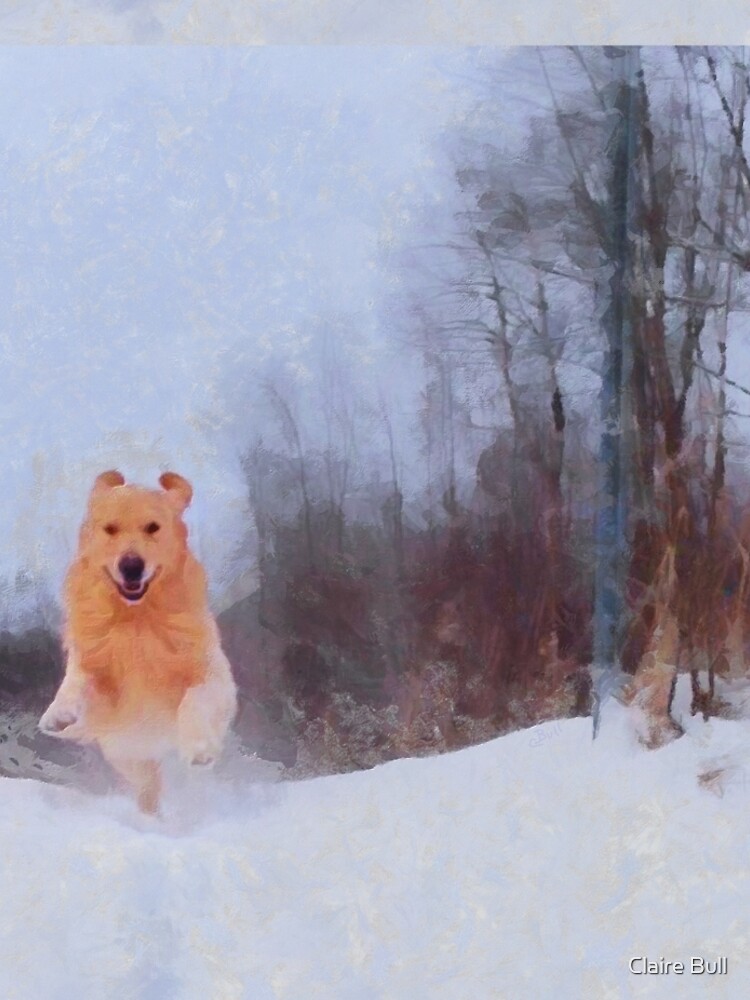 Flying in the Snow by ClaireBull