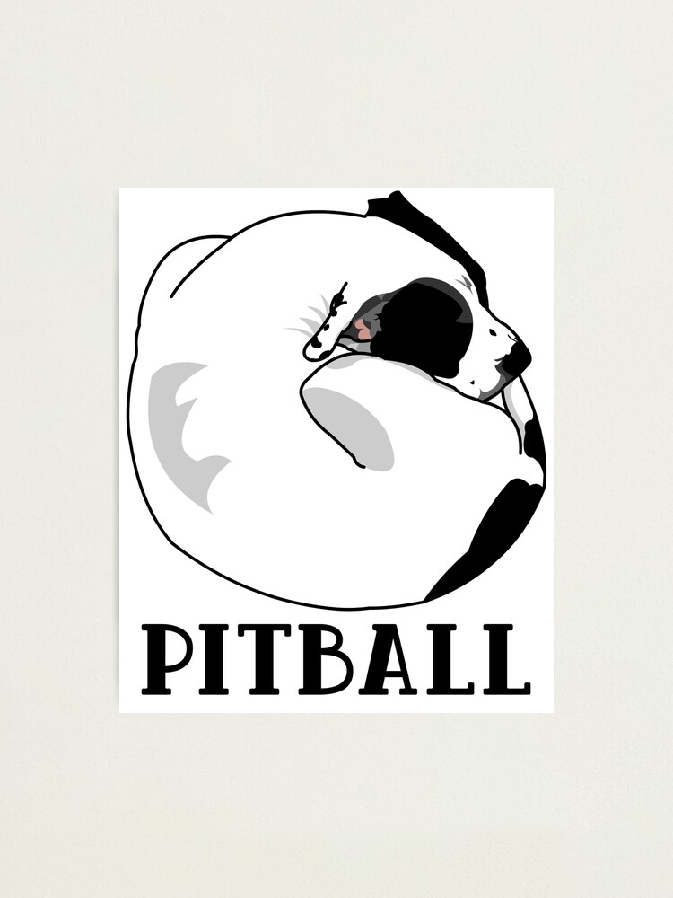 Alternate view of A Tiny Big Dog - Love for Pitballs. Photographic Print