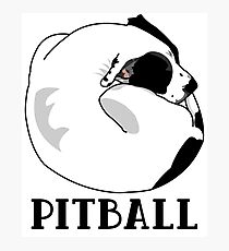 A Tiny Big Dog - Love for Pitballs. Photographic Print