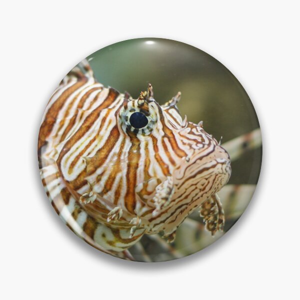 Item preview, Exotic fish designed and sold by Roberd Palm.