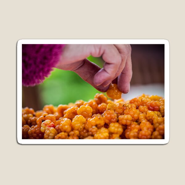 Item preview, Cloudberry designed and sold by Roberd Palm.