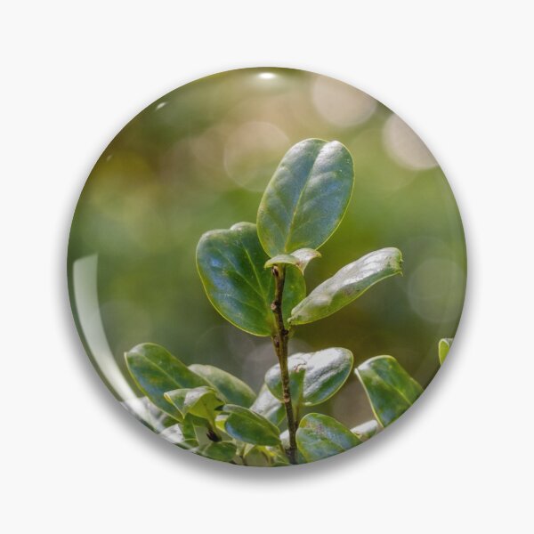 Item preview, In the jungle, green forest at Azores islands. designed and sold by AylaHarbich.