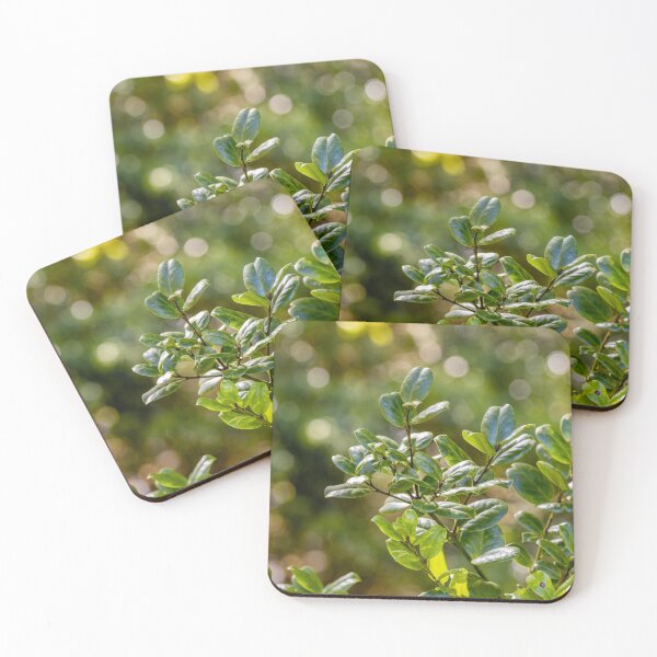 Item preview, In the jungle, green forest at Azores islands. designed and sold by AylaHarbich.