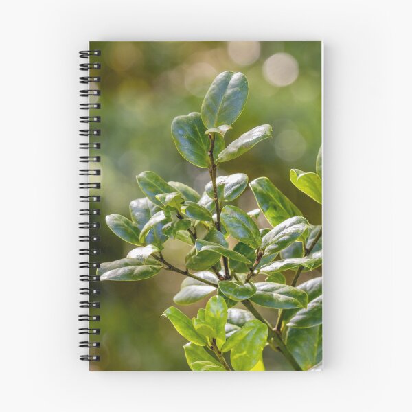 Item preview, In the jungle, green forest at Azores islands. designed and sold by AylaHarbich.