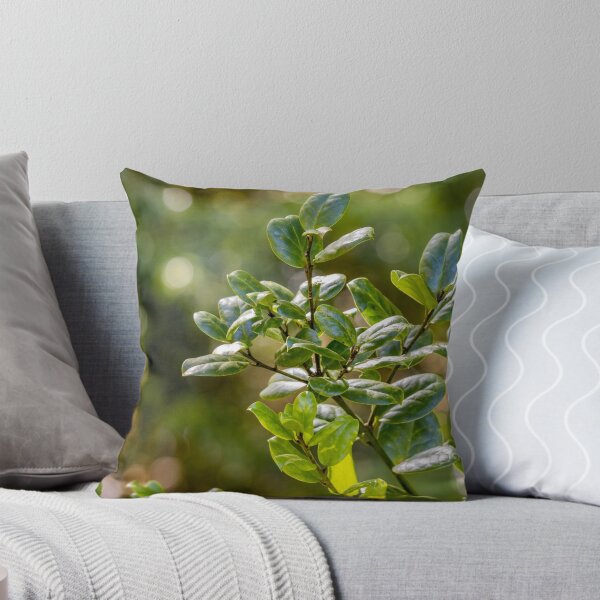 Item preview, In the jungle, green forest at Azores islands. designed and sold by AylaHarbich.