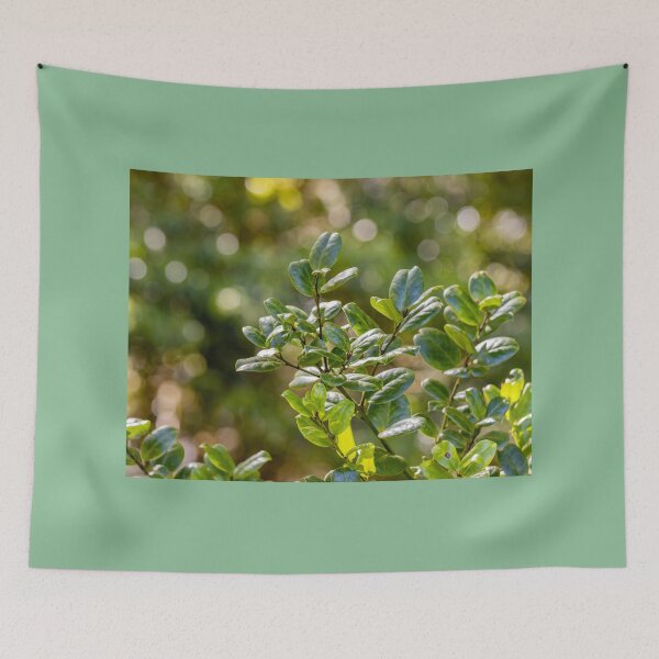 Item preview, In the jungle, green forest at Azores islands. designed and sold by AylaHarbich.