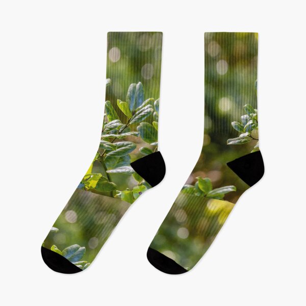 Item preview, In the jungle, green forest at Azores islands. designed and sold by AylaHarbich.