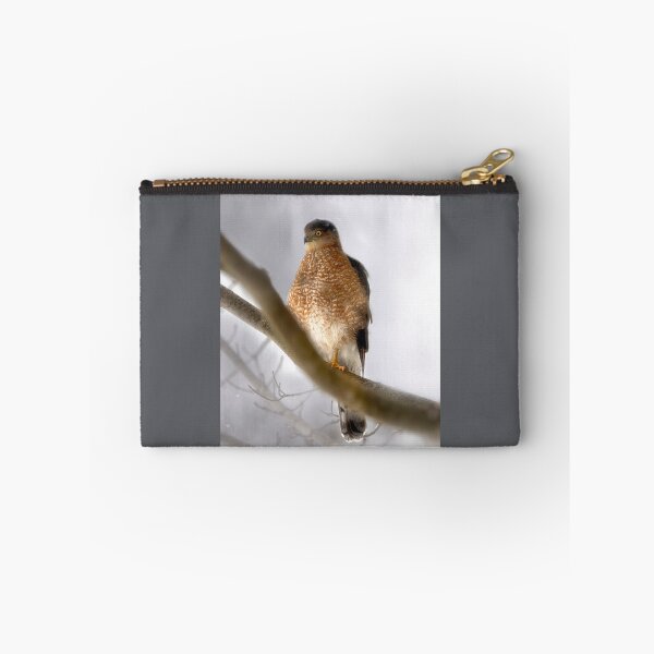 Item preview, Cooper's Hawk Outside My Window designed and sold by Kathy Weaver.