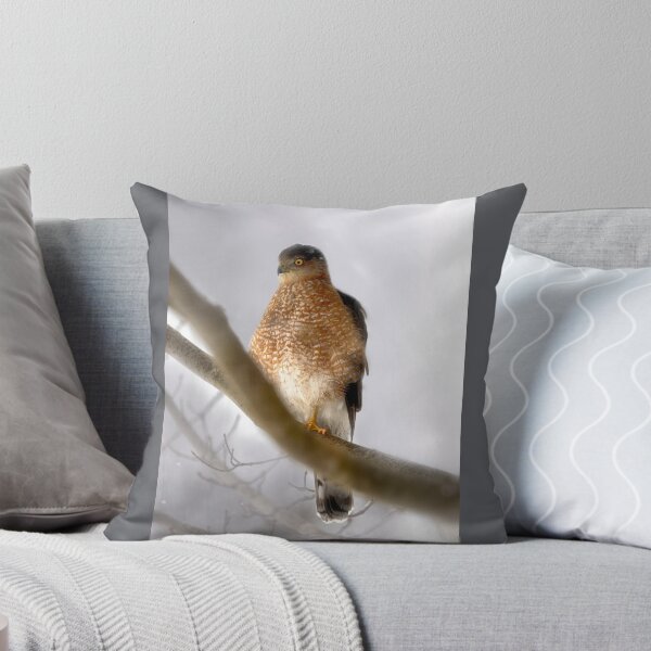 Item preview, Cooper's Hawk Outside My Window designed and sold by Kathy Weaver.