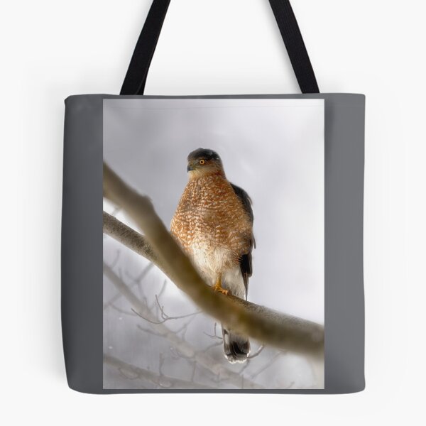 Item preview, Cooper's Hawk Outside My Window designed and sold by Kathy Weaver.