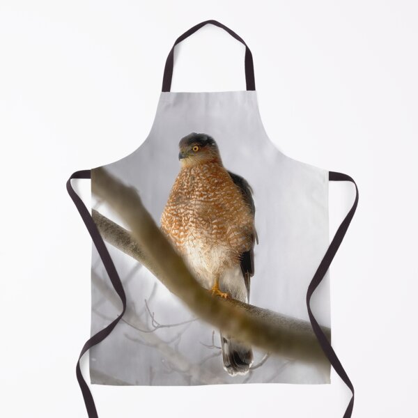 Item preview, Cooper's Hawk Outside My Window designed and sold by Kathy Weaver.