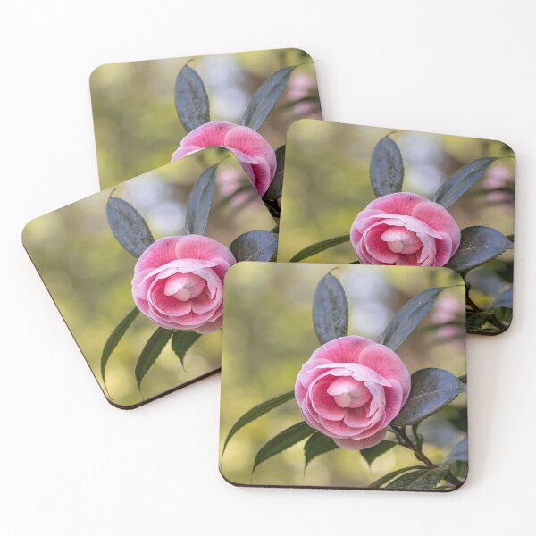 Item preview, Pink camellia flower, with branches and leaves in the background. designed and sold by AylaHarbich.