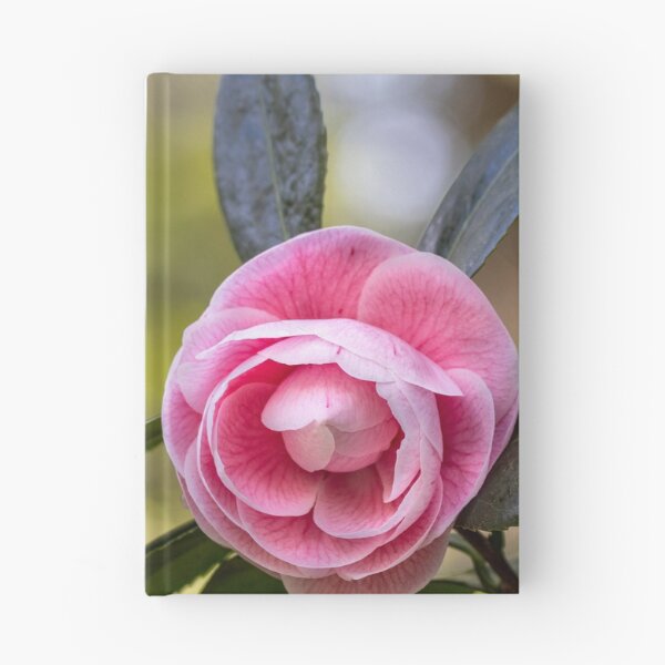 Item preview, Pink camellia flower, with branches and leaves in the background. designed and sold by AylaHarbich.