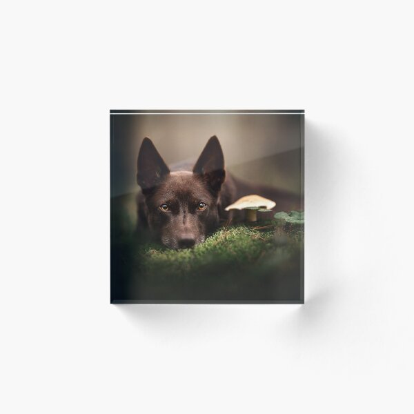 Item preview, Kelpie y su hongo designed and sold by Alatia.