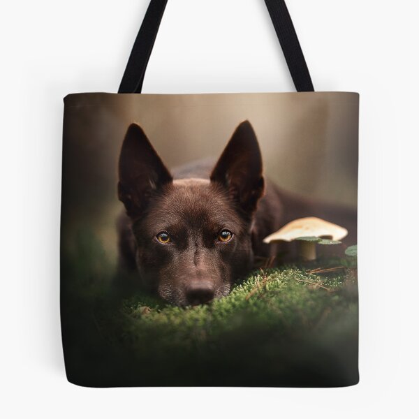 Item preview, Kelpie and her mushroom designed and sold by Alatia.