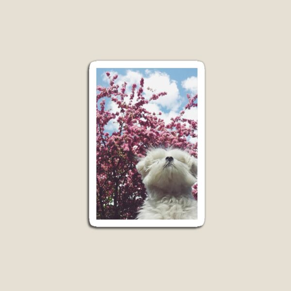 Aperçu de l'œuvre Woof ~ en rose et blanc créée et vendue par refocus.