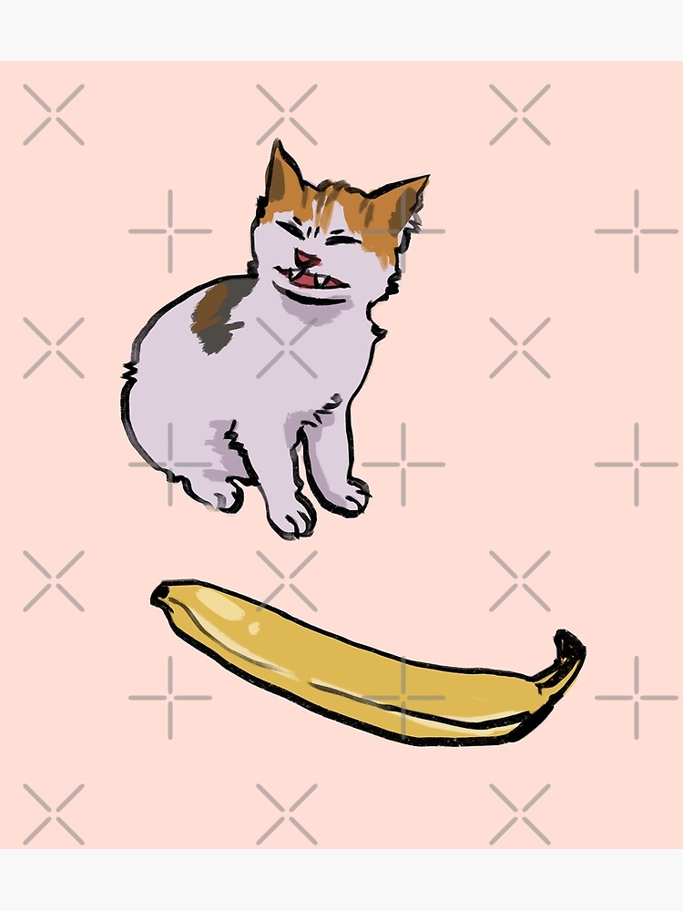 I draw the angry cat no banana meme Photographic Print for Sale