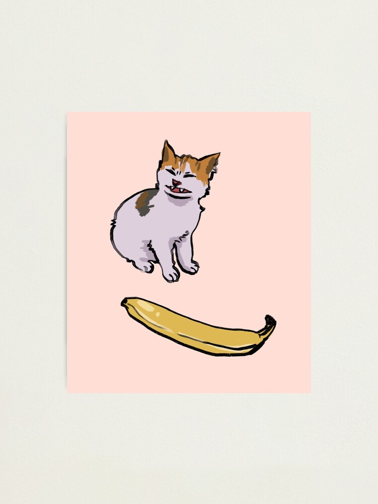 I draw the angry cat no banana meme Photographic Print for Sale