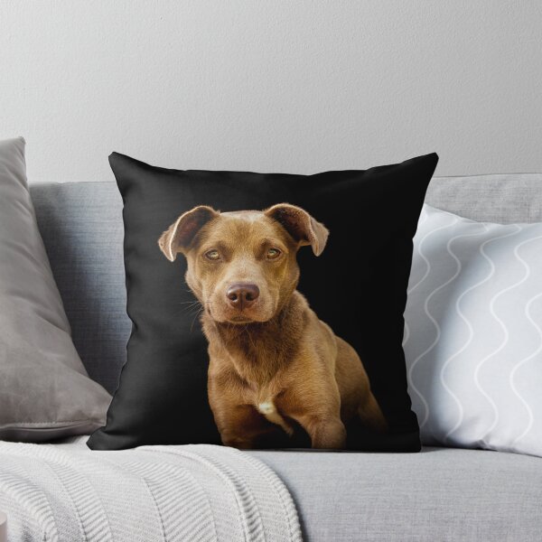 Item preview, Cute brown dog called Eddie, on black background. designed and sold by AylaHarbich.
