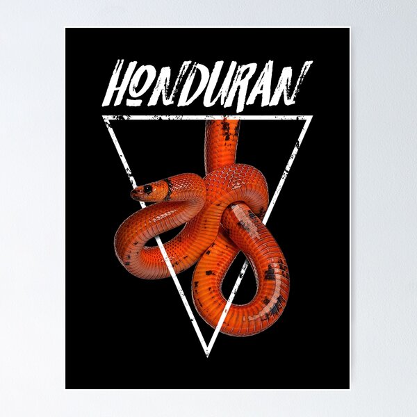 Item preview, Honduran Milk Snake Owner Reptile Keeper designed and sold by JRRTs.