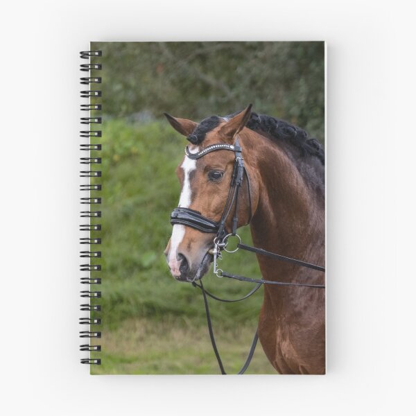 Item preview, Beautiful Lusitano stallion. designed and sold by AylaHarbich.
