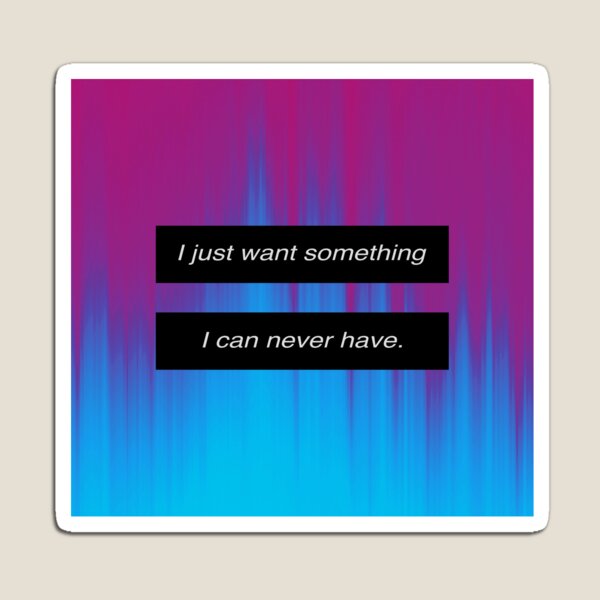 Something I Can Never Have Magnet