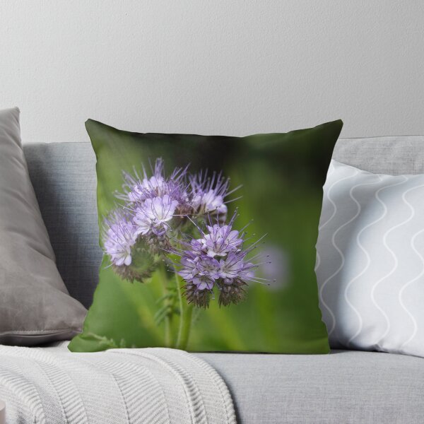 Item preview, Flowers of the lacy phacelia designed and sold by Zosimus.