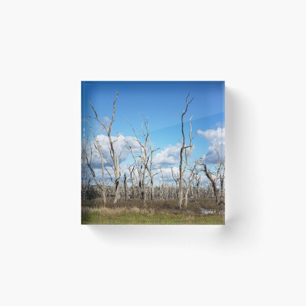 Item preview, 2079 Winton Wetlands designed and sold by Hans Kawitzki.