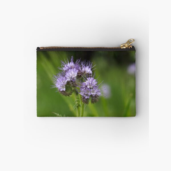 Item preview, Flowers of the lacy phacelia designed and sold by Zosimus.