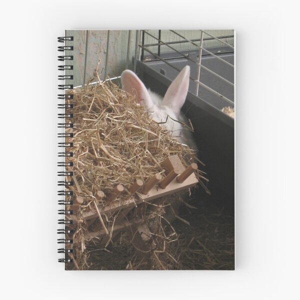 Item preview, Hide and Seek designed and sold by KMorral.