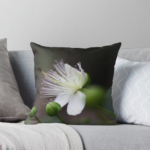 Item preview, Flower of the caper bush, capparis spinos. designed and sold by Zosimus.