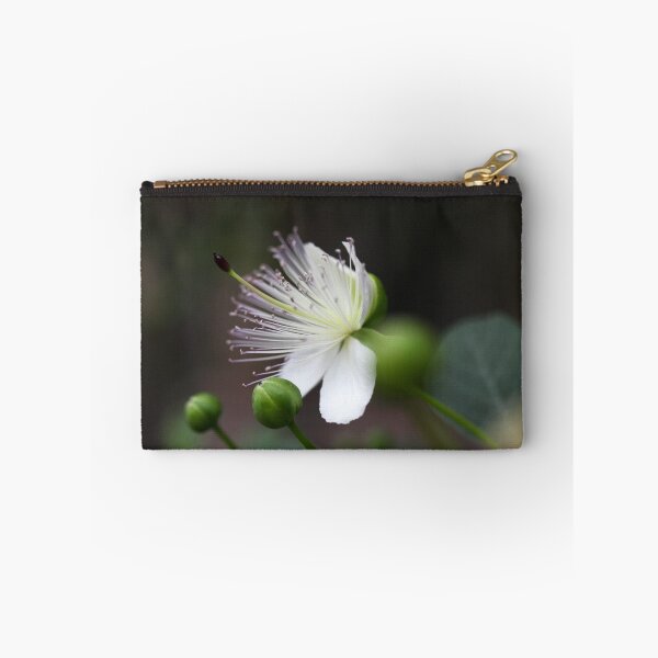 Item preview, Flower of the caper bush, capparis spinos. designed and sold by Zosimus.
