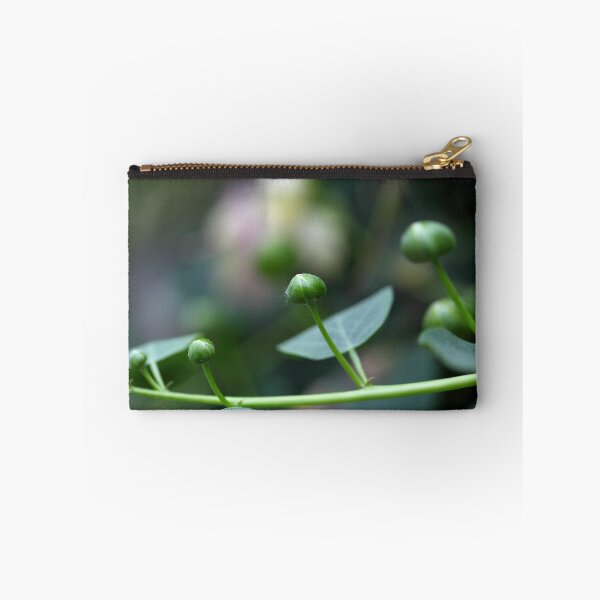 Item preview, Buds of the caper bush, Capparis spinos. designed and sold by Zosimus.