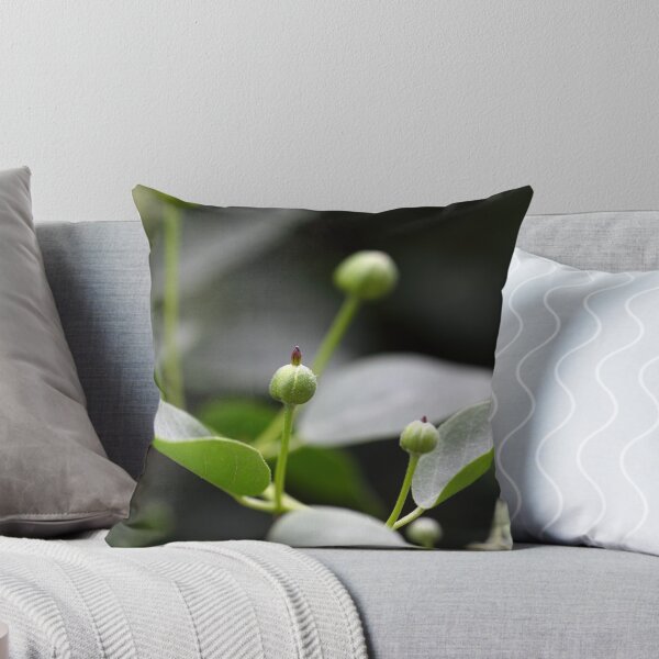 Item preview, Buds of the caper bush, Capparis spinos. designed and sold by Zosimus.