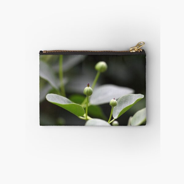 Item preview, Buds of the caper bush, Capparis spinos. designed and sold by Zosimus.