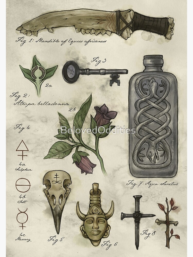 (Super)natural History - Hunter's artefacts by BelovedOddities