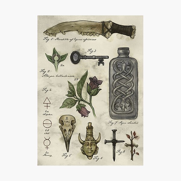 (Super)natural History - Hunter's artefacts Photographic Print