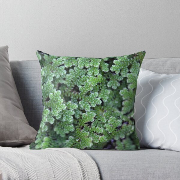 Item preview, Macro photo of water ferns, of the genus Azolla sp. designed and sold by Zosimus.