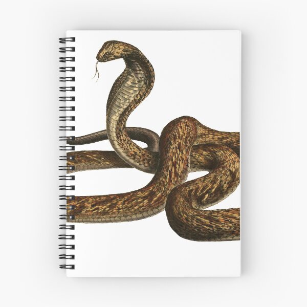 Item preview, Brown Snake designed and sold by rhynix.