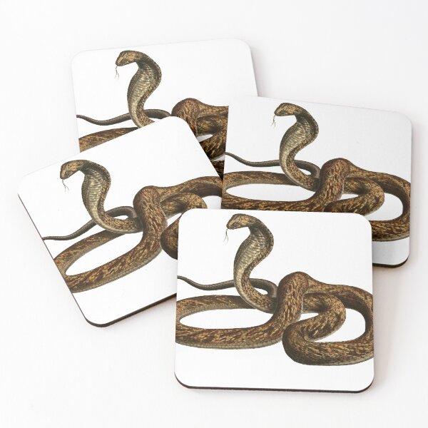 Item preview, Brown Snake designed and sold by rhynix.
