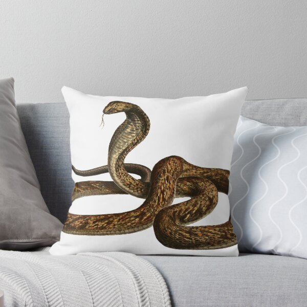 Item preview, Brown Snake designed and sold by rhynix.